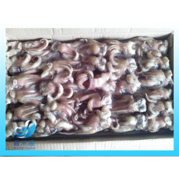 frozen fresh and cheap squid tentacles